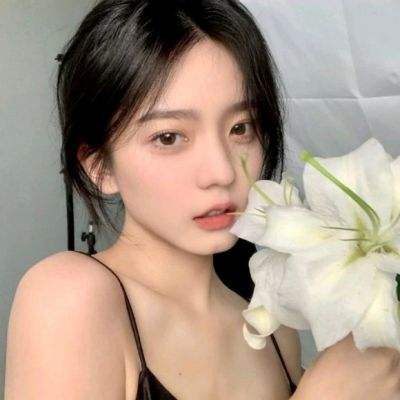 战之海贼日服官方下载